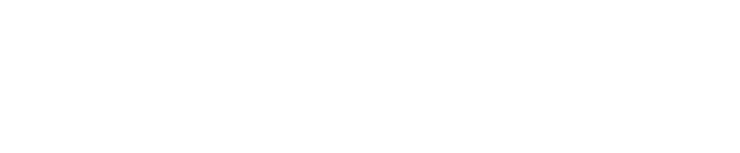 Littlebird